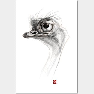 Sketchy Ostrich Posters and Art